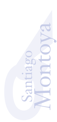 Santiago Montoya